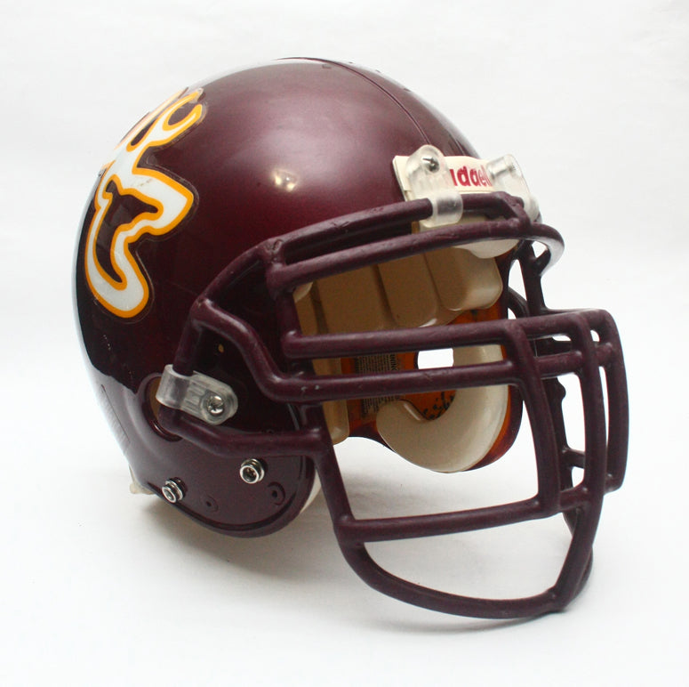 Vintage Game Used 1990s Deer Park Deer Texas High School Riddell VSR4 Football Helmet Size Large