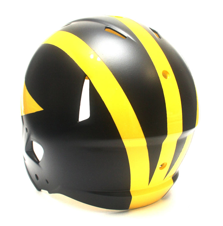 Customer SEND IN Michigan Wolverines Football Helmet Restore / Painting Service