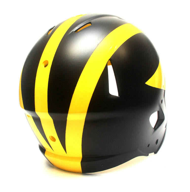 Customer SEND IN Michigan Wolverines Football Helmet Restore / Painting Service