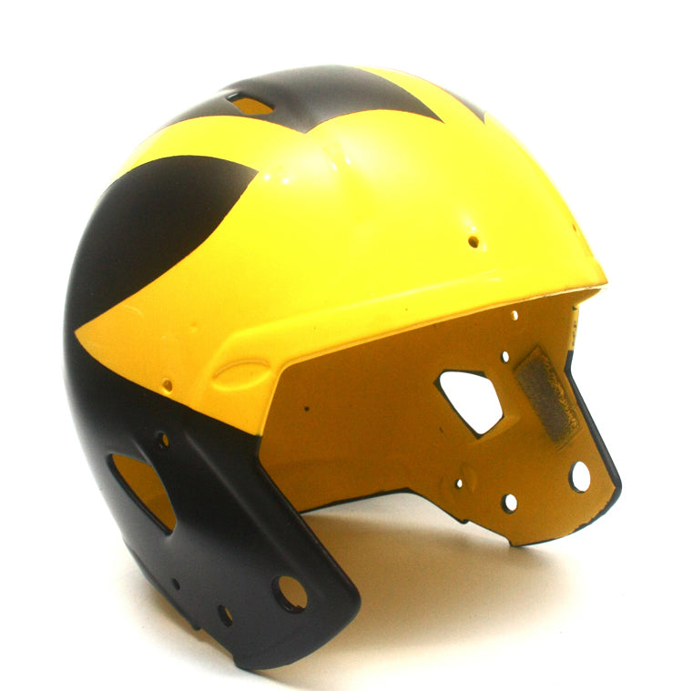 Customer SEND IN Michigan Wolverines Football Helmet Restore / Painting Service